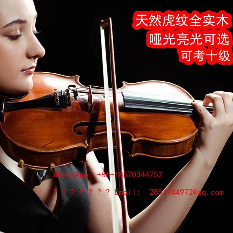 ไวโอลินระดับมืออาชีพ เครื่องดน - Musical Instrument Net บทวิจารณ์และราคา